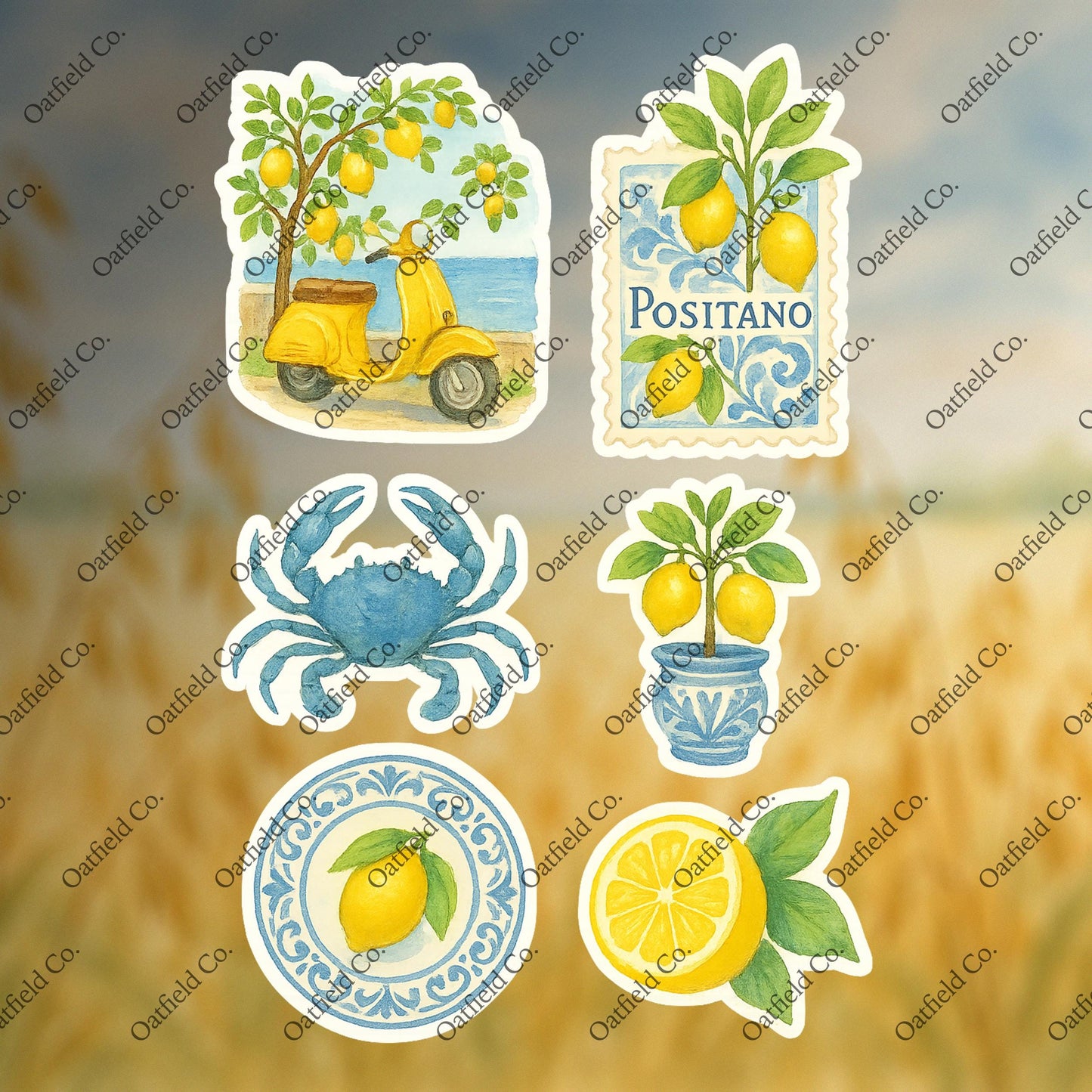 Summer Bundle